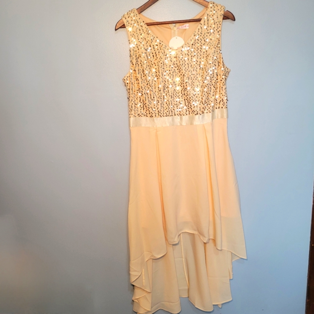 NWT Berry Love Girls Champagne Hi-Low, Sequin,Formal,Bridal, Event Dress Size XL